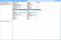 PresentViewer. Content of the current (selected) multimedia module