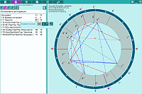 Prognosis. Additional data entry page