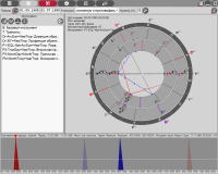SkyLiner. Module - Favorable periods of conception. Calculation of the periods of conception and gender of the child